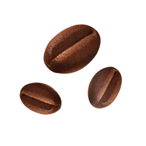 Cookie
